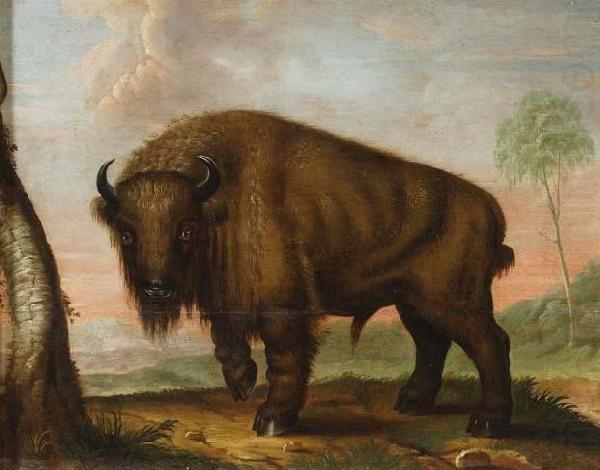 Wisent, unknow artist